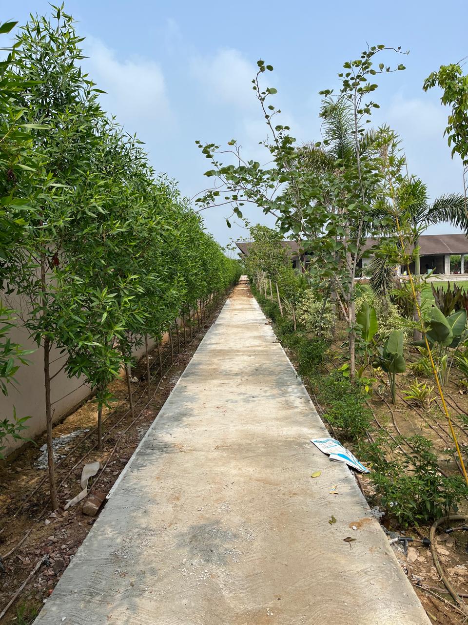 Landscape contractor project
